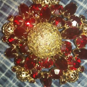 Beautiful Brooch (looks like Christmas )